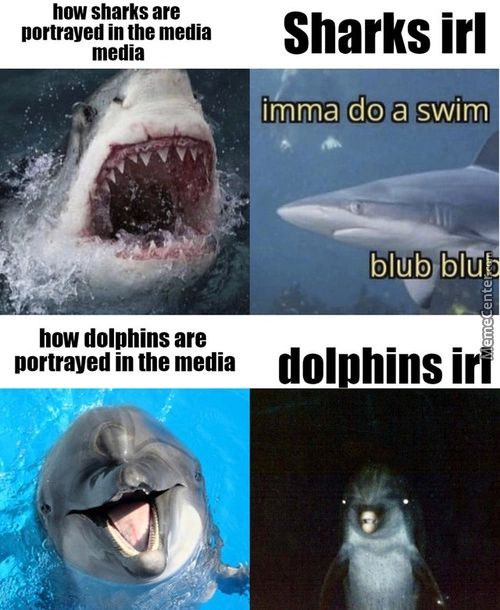 How Sharks Are
Portrayed In The Media
Media
How Dolphins Are
Portrayed In The Media
Sharks Irl
Imma Dogaswim
Blub Bluv
Dolphins I
