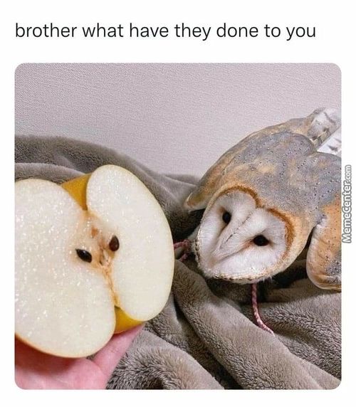 Brother What Have They Done To You
