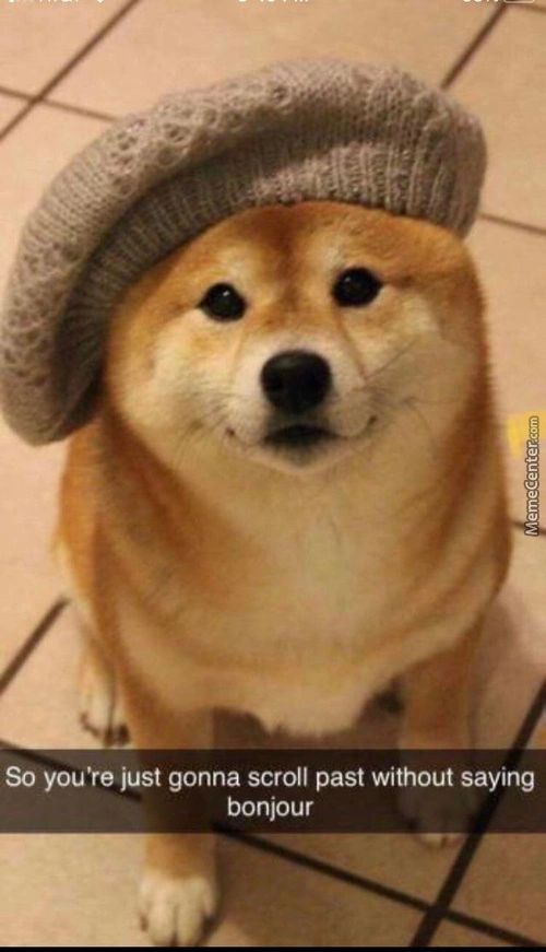 So You're Just Gonna Scroll Past Without Saying
Bonjour
