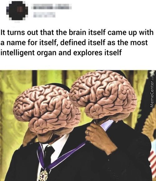 It Turns Out That The Brain Itself Came Up With
A Name For Itself, Defined Itself As The Most
Intelligent Organ And Explores Itself
