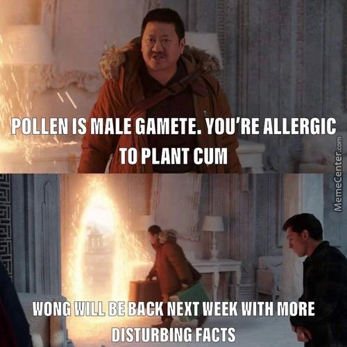 POLLEN IS MALE GAMETE. YOU'RE ALLERGIC
TO PLANT CUM
WON WILL MORE
DISTURBING FACTS
