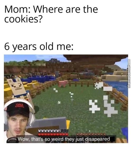 Mom: Where Are The
Cookies?
6 Years Old Me:
VvvvvvM1
Wow, That's-so Weird They Just Disapeared
