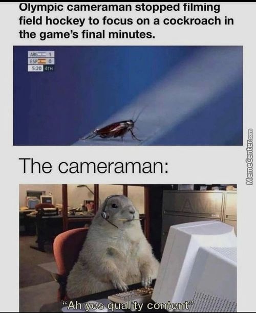 Olympic Cameraman Stopped Filming
Field Hockey To Focus On A Cockroach In
The Game's Final Minutes.
The Cameraman:
