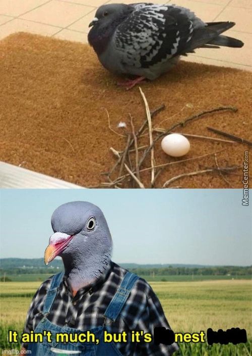 It Ain't Much, But It's
Nest
