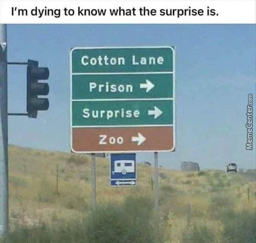 I'm Dying To Know What The Surprise Is.
Cotton Lane
Prison
Surprise
Zoo
