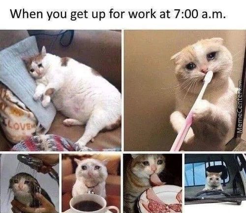 When You Get Up For Work At 7:00 A.m.
