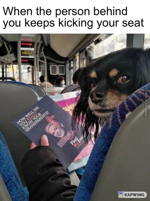 When The Person Behind
You Keeps Kicking Your Seat
• KAPWING
