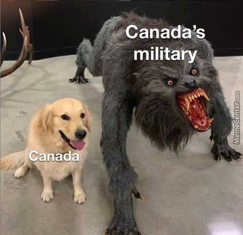 Canadä!s
Military
ånåd
