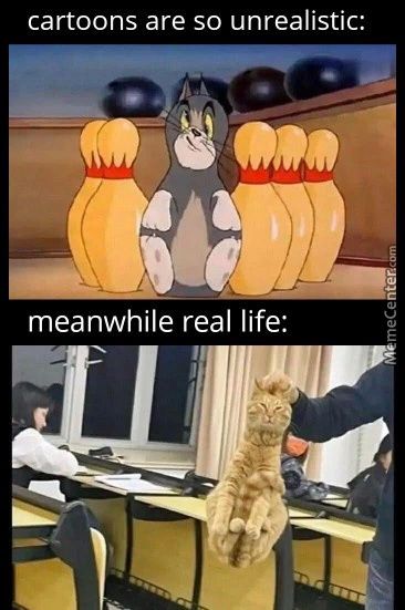 Cartoons Are So Unrealistic:
Meanwhile Real Life:
