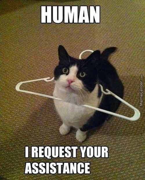 HUMAN
I REQUEST YOUR
ASSISTANCE
