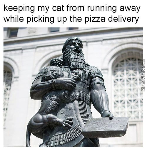 Keeping My Cat From Running Away
While Picking Up The Pizza Delivery

