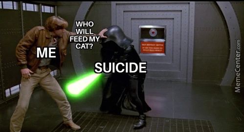 WHO
FEED MY
CAT?
ME
SUICIDE
