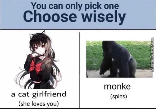 You Can Only Pick One
Choose Wisely
A Cat Girlfriend
(she Loves You)
Monke
(spins)
