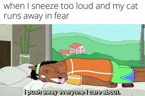When I Sneeze Too Loud And My Cat
Runs Away In Fear
I Push Away Everyone I Care About.

