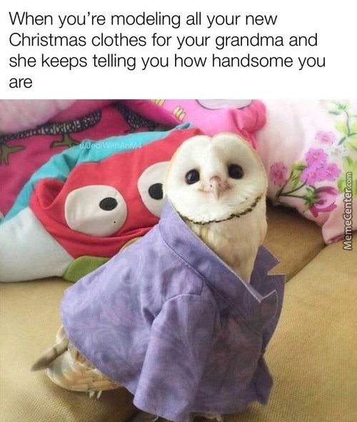 When You're Modeling All Your New
Christmas Clothes For Your Grandma And
She Keeps Telling You How Handsome You
