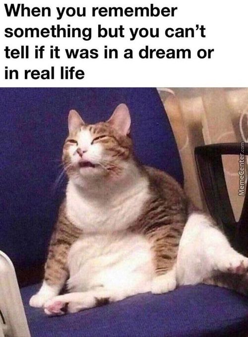 When You Remember
Something But You Can't
Tell If It Was In A Dream Or
In Real Life
