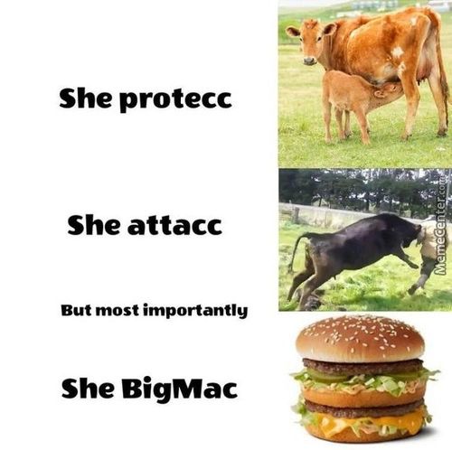 She Protecc
She Attacc
But Most Importantly
She BigMac

