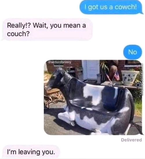 I Got Us A Cowch!
Really!? Wait, You Mean A
Couch?
No
Delivered
I'm Leaving You.
