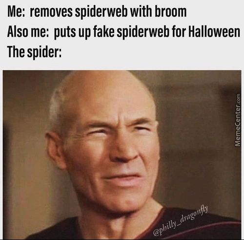 Me: Removes Spiderweb With Broom
Also Me: Puts Up Fake Spiderweb For Halloween
The Spider:
