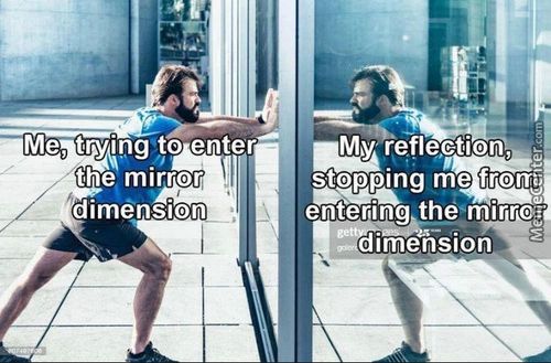 Me, Trying To Enter
The Mirror
Dimension
My Reile,Gtion,
Stopping Me Fronj
Entering The Mirrc}
—dimension
