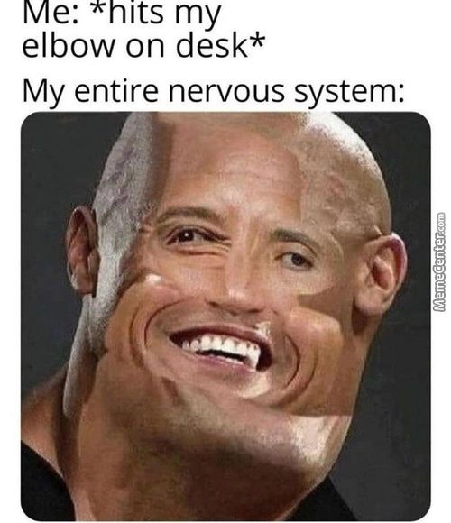 Me: *hits My
Elbow On Desk*
My Entire Nervous System:
