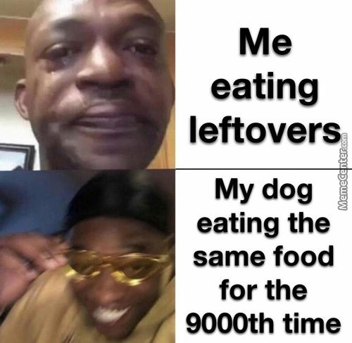 Me
Eating
Leftovers
My Dog
Eating The
Same Food
For The
9000th Time
