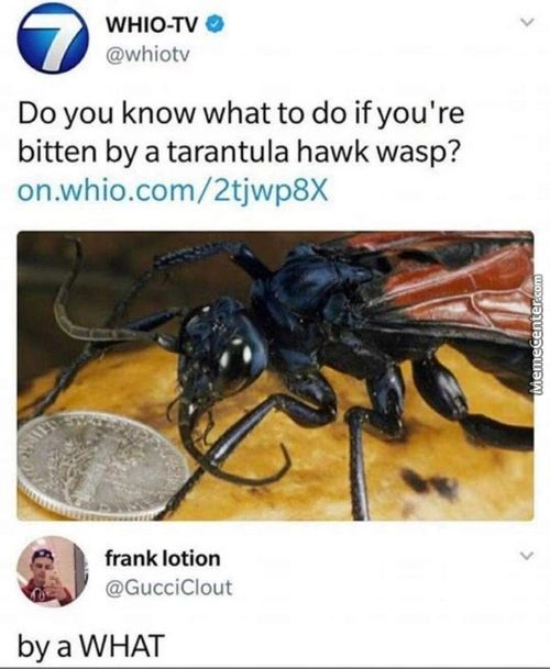 WHIO-TV O
@whiotv
Do You Know What To Do If You're
Bitten By A Tarantula Hawk Wasp?
On.whio.com/2tjwp8X
Frank Lotion
@GucciCIout
By A WHAT
