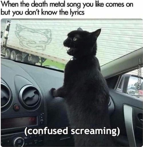 When The Eath Rnetal Song You Eke Comes
But You Don't Know The Lyrics
(confused Screaming)
