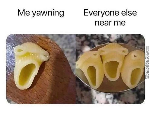 Me Yawning
Everyone Else
Near Me

