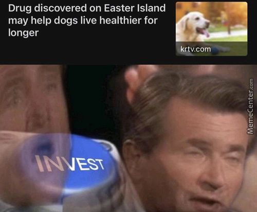 Drug Discovered On Easter Island
May Help Dogs Live Healthier For
Longer
V.com
