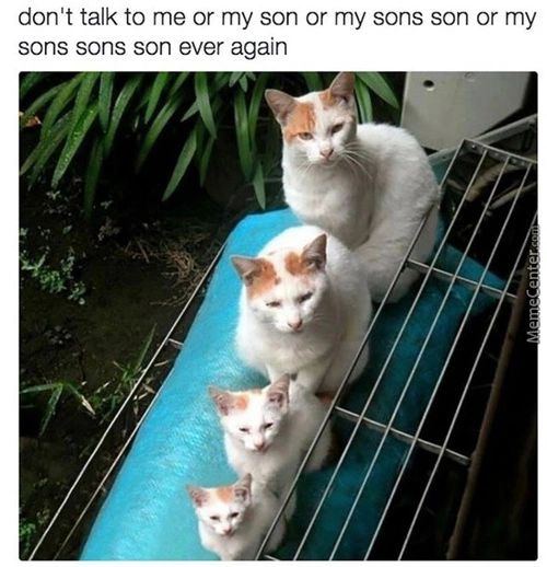 Don't Talk To Me Or My Son Or My Sons Son Or My
Sons Sons Son Ever Again
