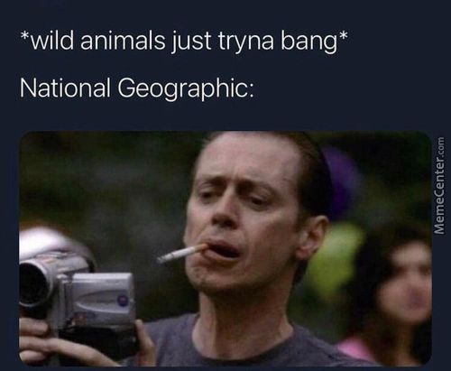 *wild Animals Just Tryna Bang*
National Geographic:
