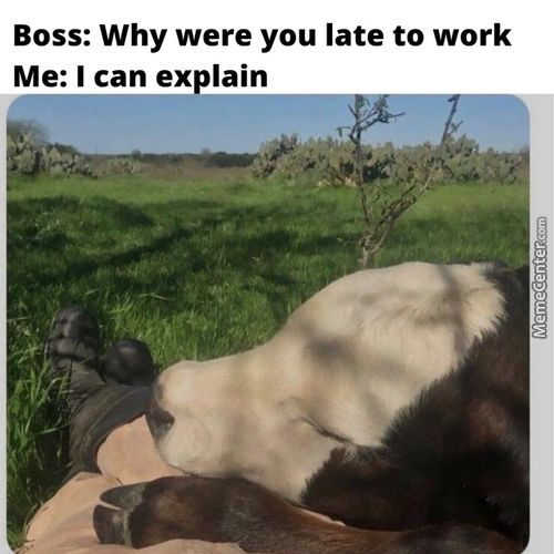 Boss: Why Were You Late To Work
Me: I Can Explain
