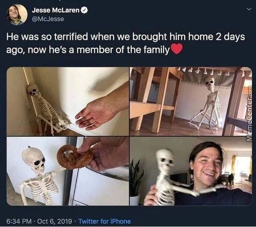 Jesse McLaren
@McJesse
He Was So Terrified When We Brought Him Home 2 Days
Ago, Now He's A Member Of The Family
6:34 PM Oct 6, 2019 Twitter For IPhone
