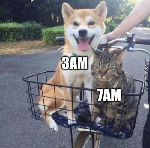 3AM
