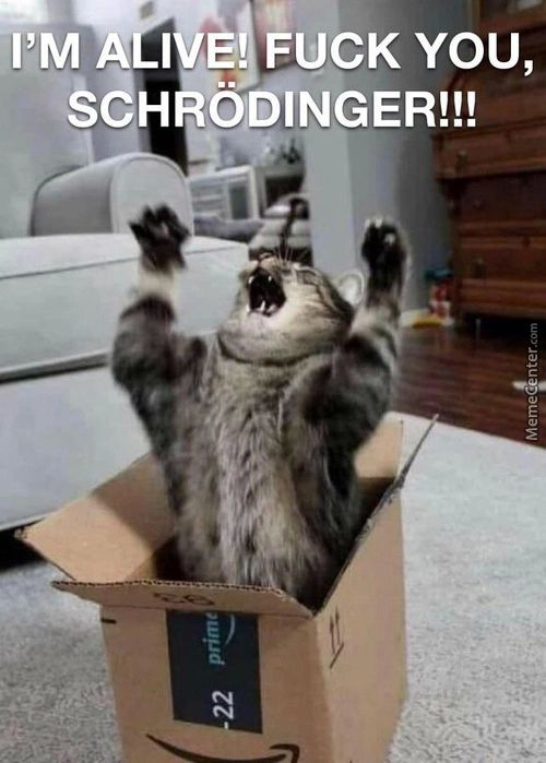 I'MA I E FUCK YOU,
SdHÅÖDlNGER!!!
