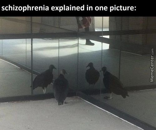Schizophrenia Explained In One Picture:
