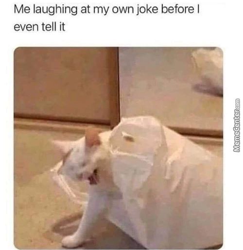 Me Laughing At My Own Joke Before I
Even Tell It
