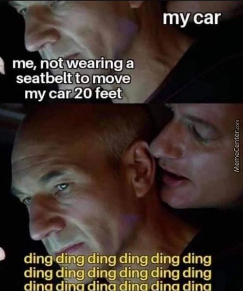 My Car
Me, Notwearing A
Seatbelt To Move
My Cho
Ding.diög Ding Ding Ding Ding
Ding Dlng Ding Ding Ding Ding
