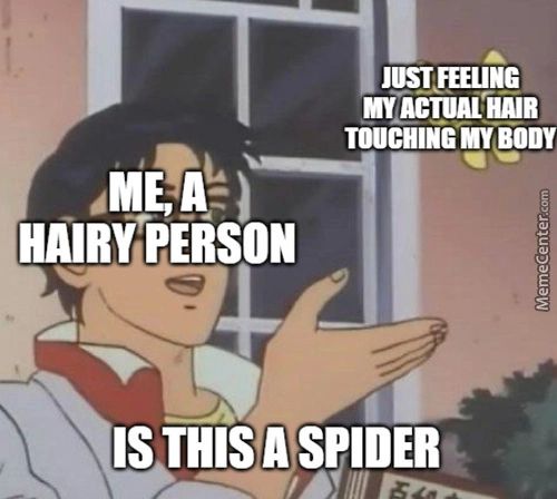 JUST FEELING
MY ACTUAL'HAIR
TOUCHING MY BODY
IS THIS A SPIDER

