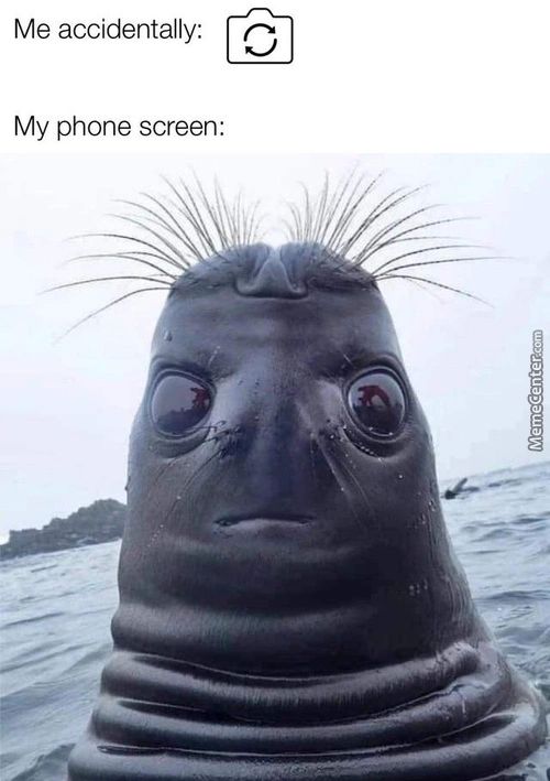 Me Accidentally:
My Phone Screen:
