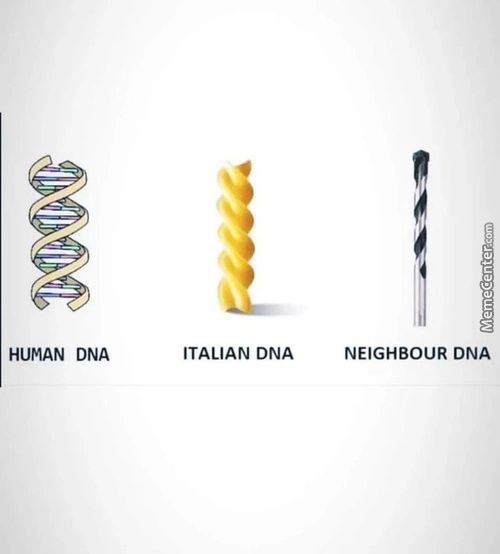 HUMAN DNA
ITALIAN DNA
NEIGHBOUR DNA
