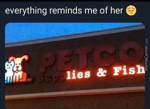 Everything Reminds Me Of Her E
Lies & Fish
