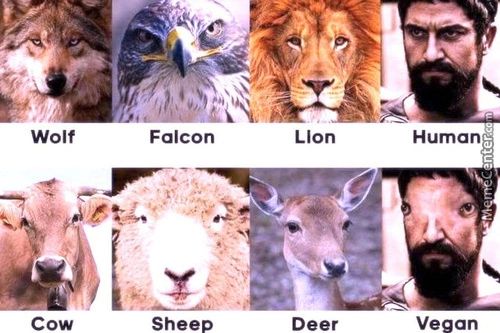 Wolf
Cow
Falcon
Sheep
Lion
Deer
Human
Vegan
