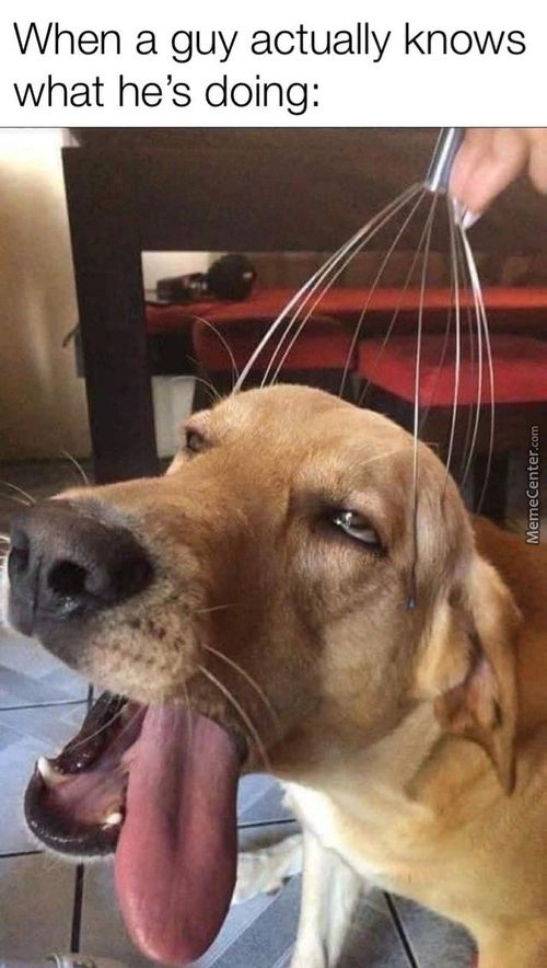 When A Guy Actually Knows
What He's Doing:
