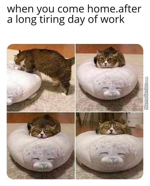 When You Come Home.after
A Long Tiring Day Of Work
