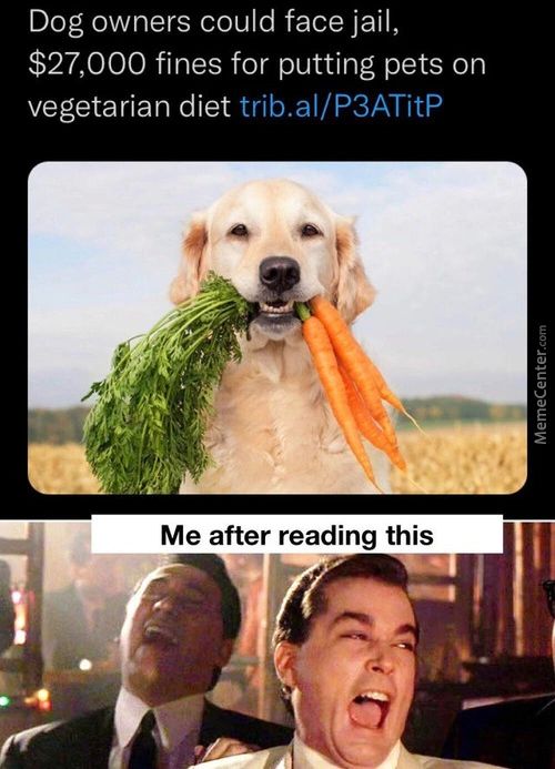 Dog Owners Could Face Jail,
$27,000 Fines For Putting Pets On
Vegetarian Diet Trib.al/P3ATitP
Me After Reading This
