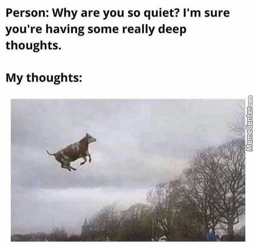 Person: Why Are You So Quiet? I'm Sure
You're Having Some Really Deep
Thoughts.
My Thoughts:
