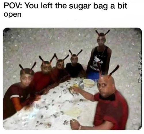 POV: You Left The Sugar Bag A Bit
Open
