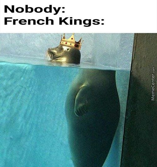 Nobody:
French Kings:
